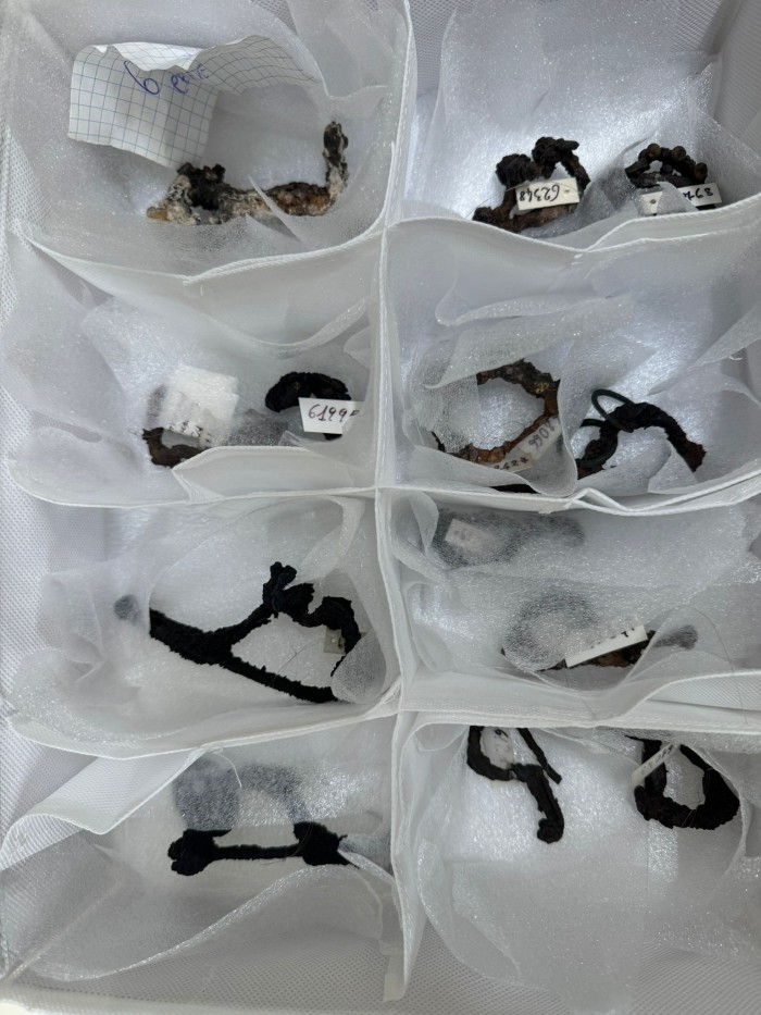 contenitore di fibule in ferro e bronzo
