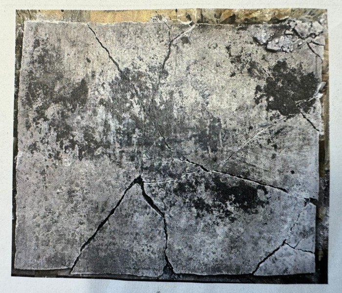 porzione di pittura parietale