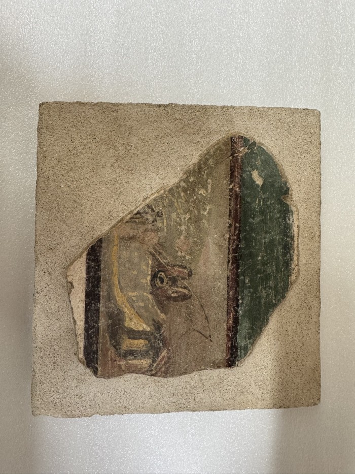 porzione di pittura parietale