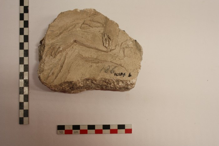 frammento di stucco