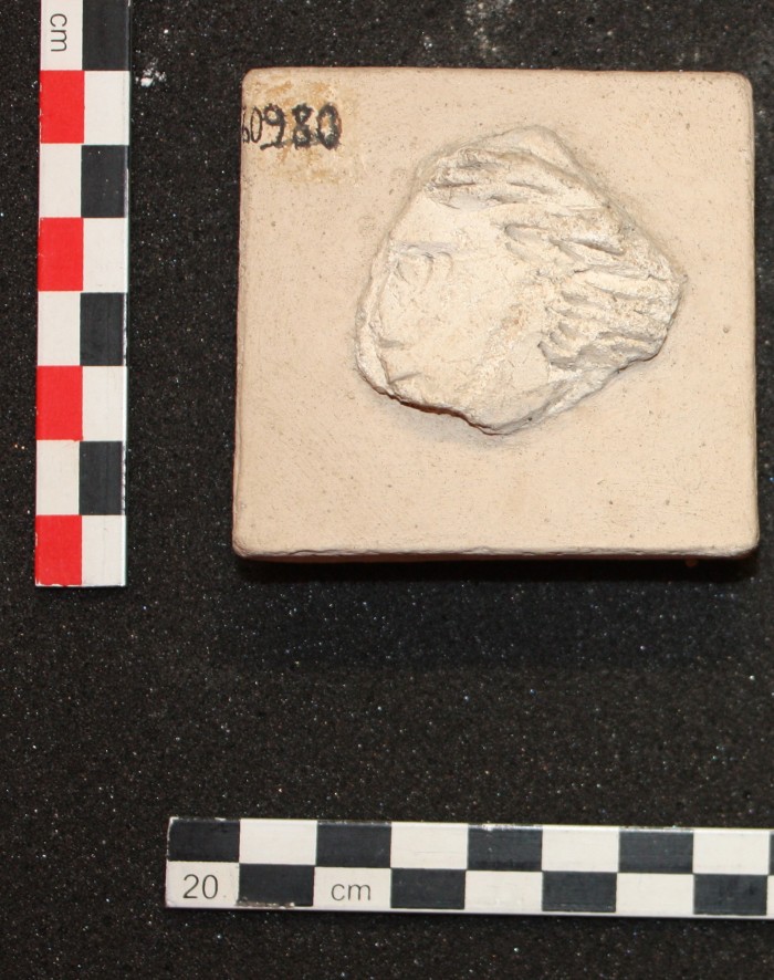 frammento di stucco