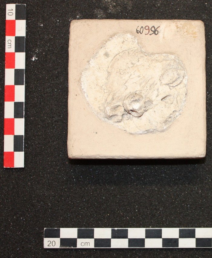 frammento di stucco