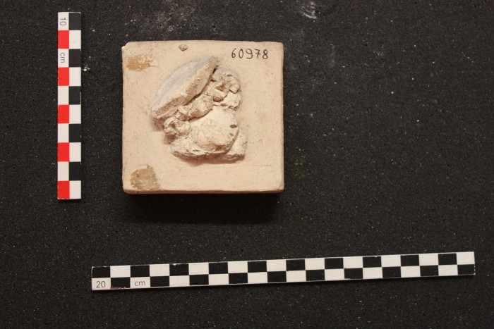 frammento di stucco