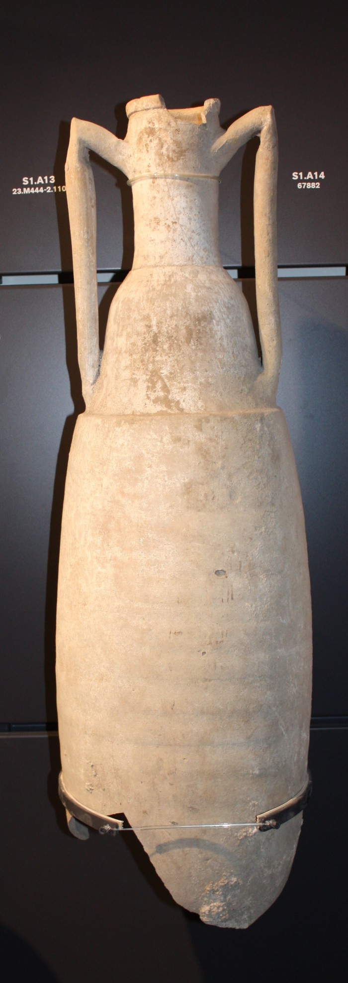 anfora vinaria