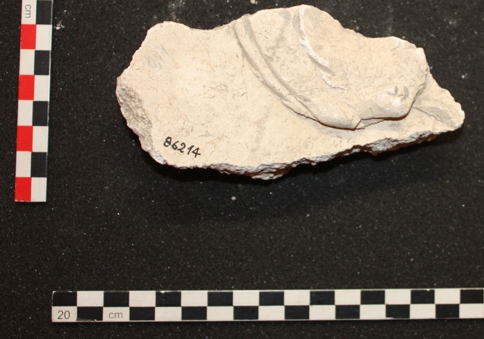 frammento di stucco