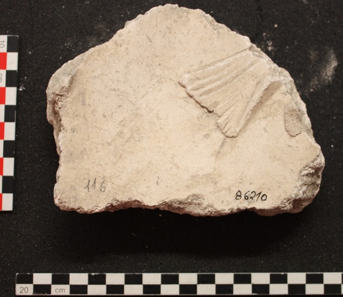 frammento di stucco