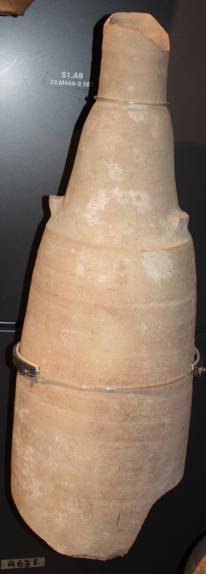 anfora vinaria