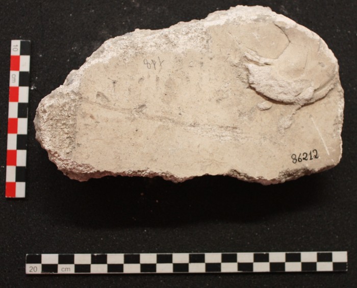 frammento di stucco