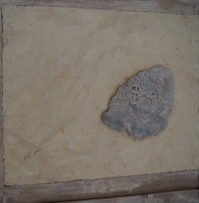 graffito su pellicola pittorica