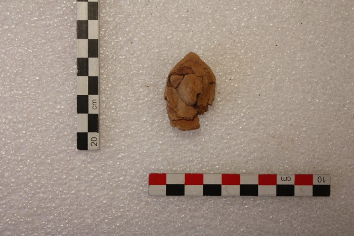 frammento di terracotta figurata