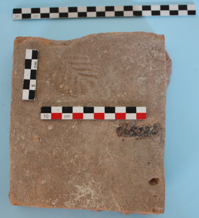 frammento di laterizio di copertura