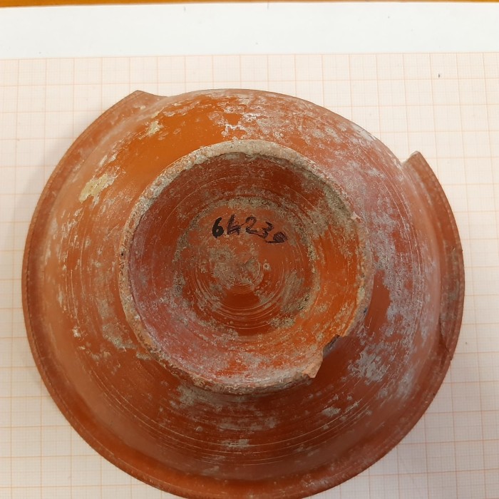 Coppa tipo Conspectus 34 con bollo