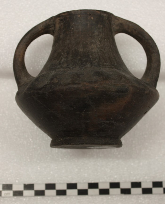 anforetta biconica